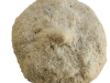 brutti-photo-label-1-actual